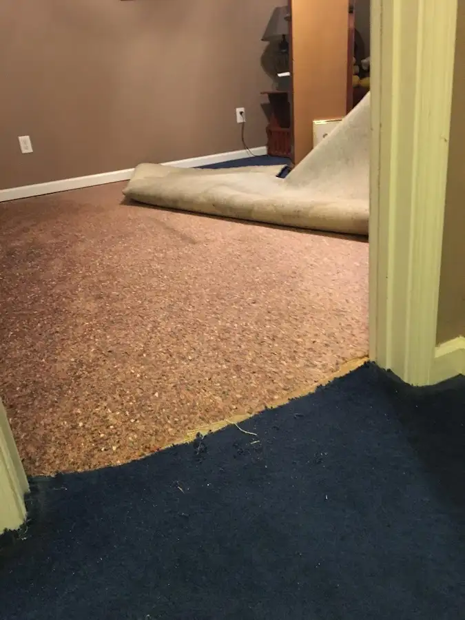 Carpet pad removal revealing water damage during Drying & Dehumidification in Newington